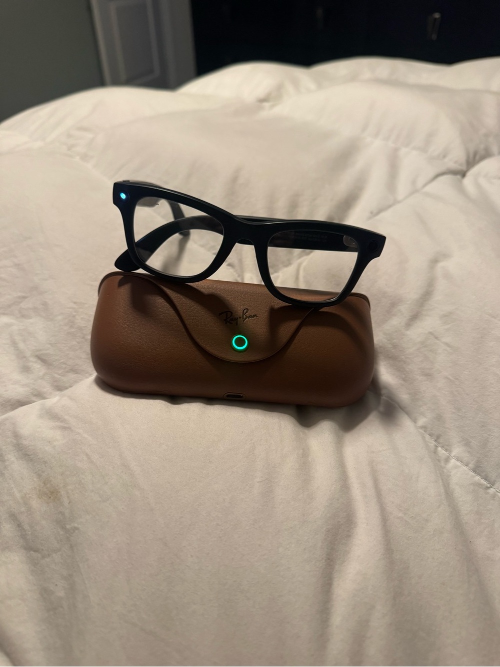 Ray-Ban Black Frames with Brown Case